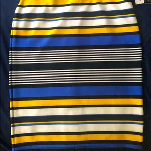 Striped Curvy Fit Skirt (Knee Length)